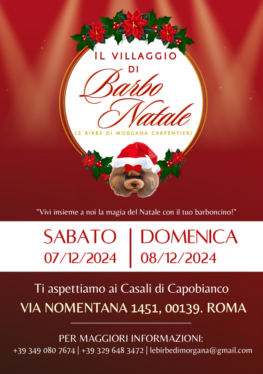 Il Villaggio di Barbo Natale - 7/8 Dicembre 2024